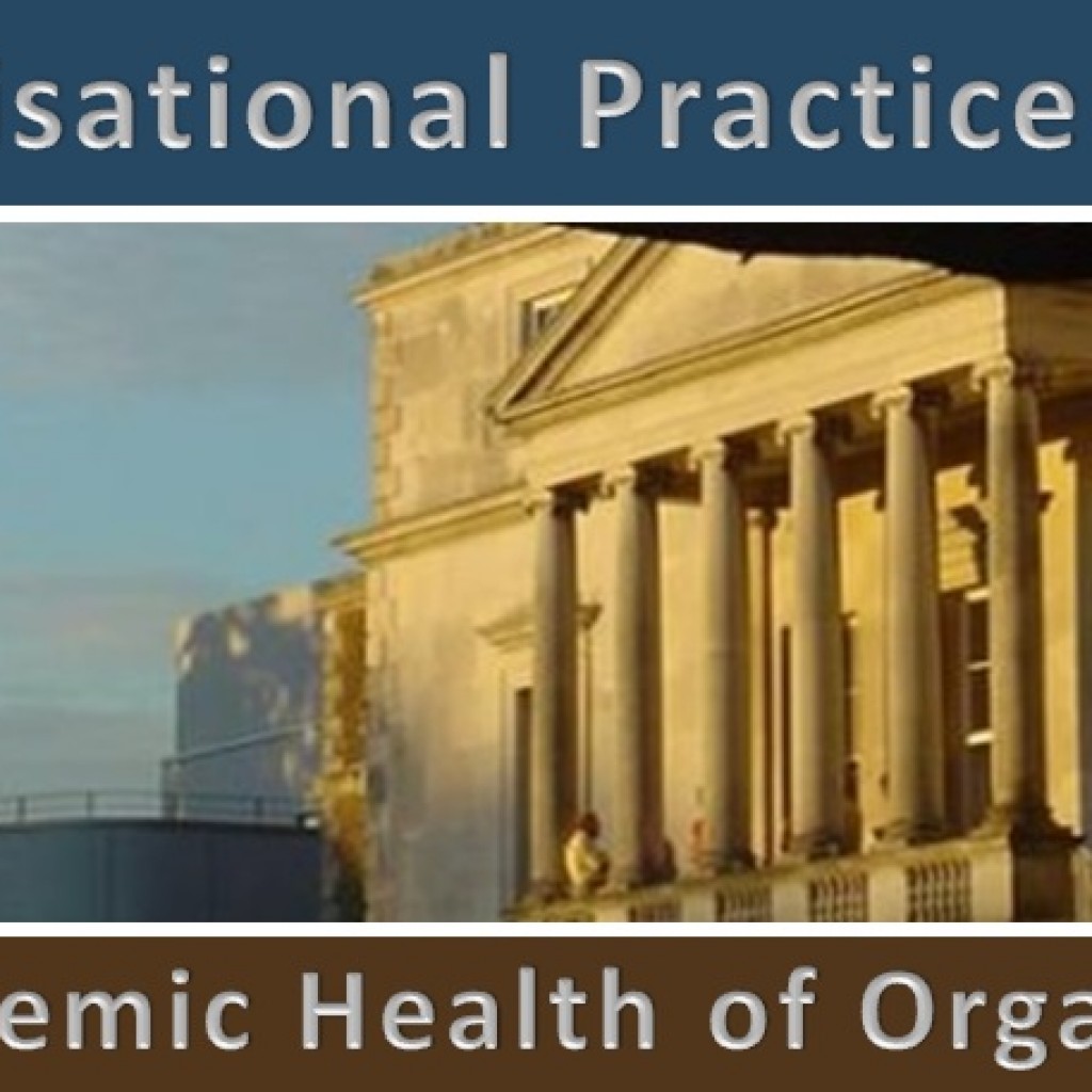 Systemic Organisational Practice Dialogues 2015 - The Systemic Health of Organisations