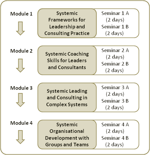 The Systemic Leadership and Consulting Training - Modules