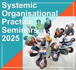 Systemic Organisational Practice Seminars 2025